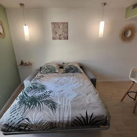 Zenitude, Clim Gare Apartment Lourdes